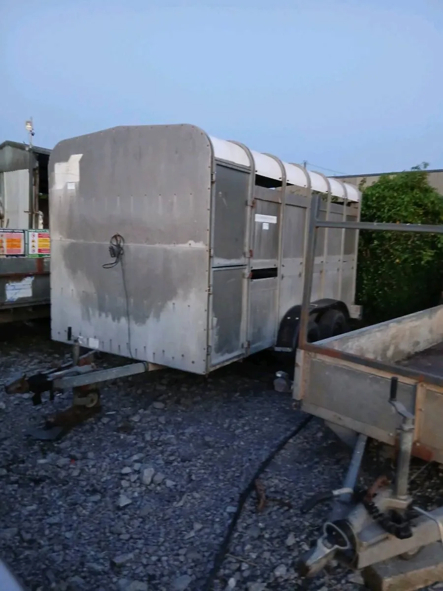 Iforwilams 12by6 cattlectrailerCALL 0868782672 - Image 3