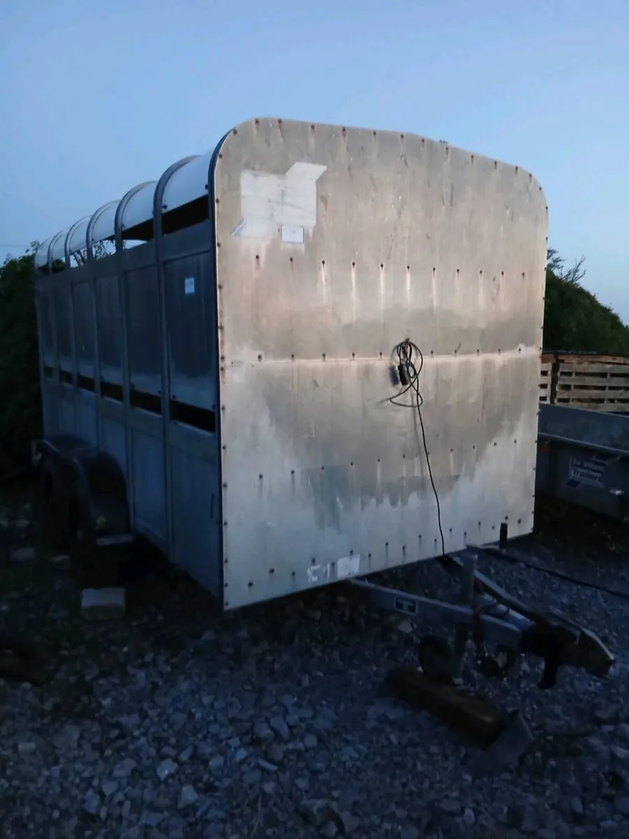 Iforwilams 12by6 cattlectrailerCALL 0868782672 - Image 4