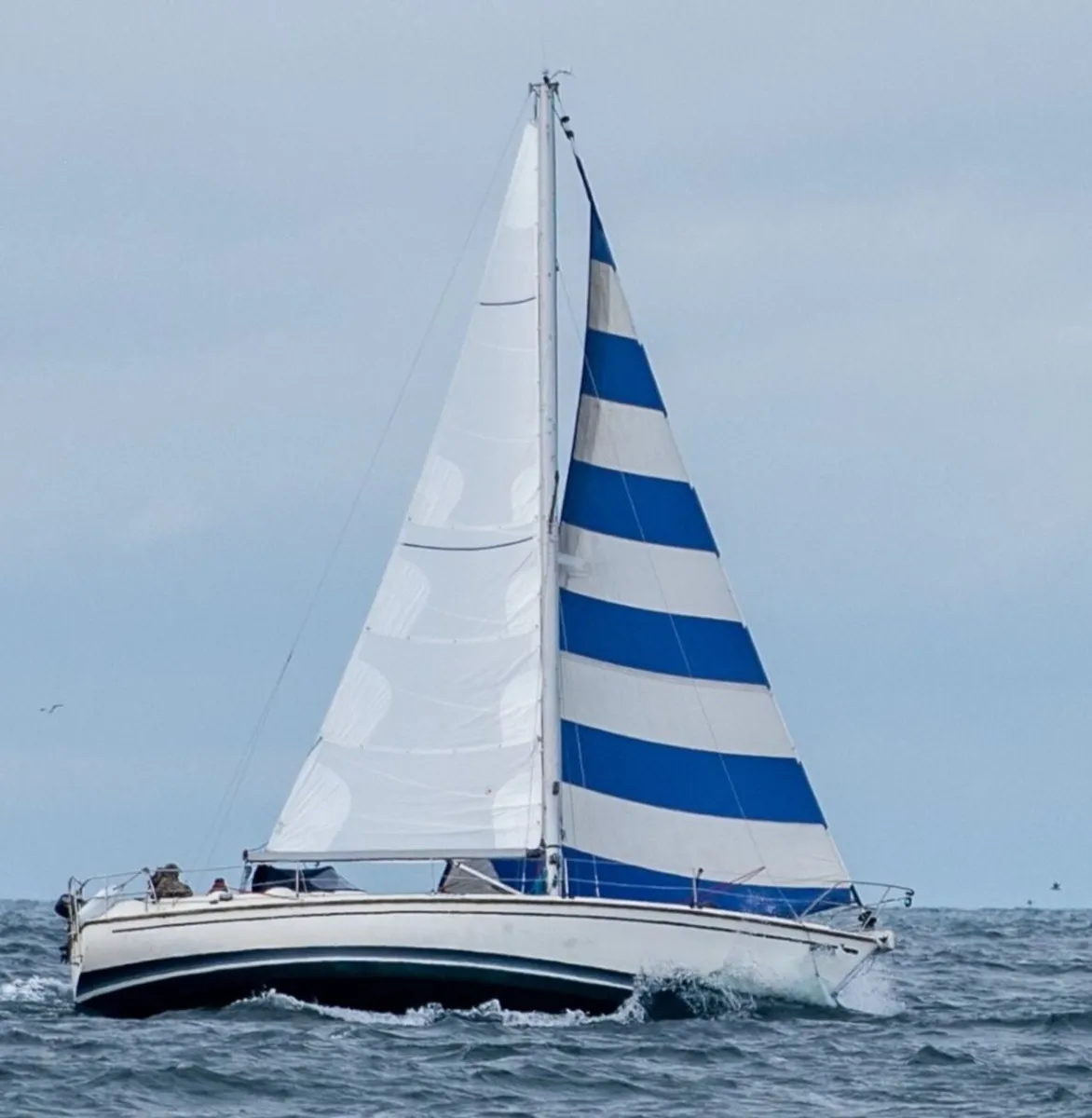 Westerly Medway 36 - Image 1