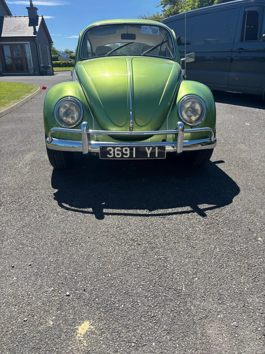 Volkswagen Beetle - Image 2