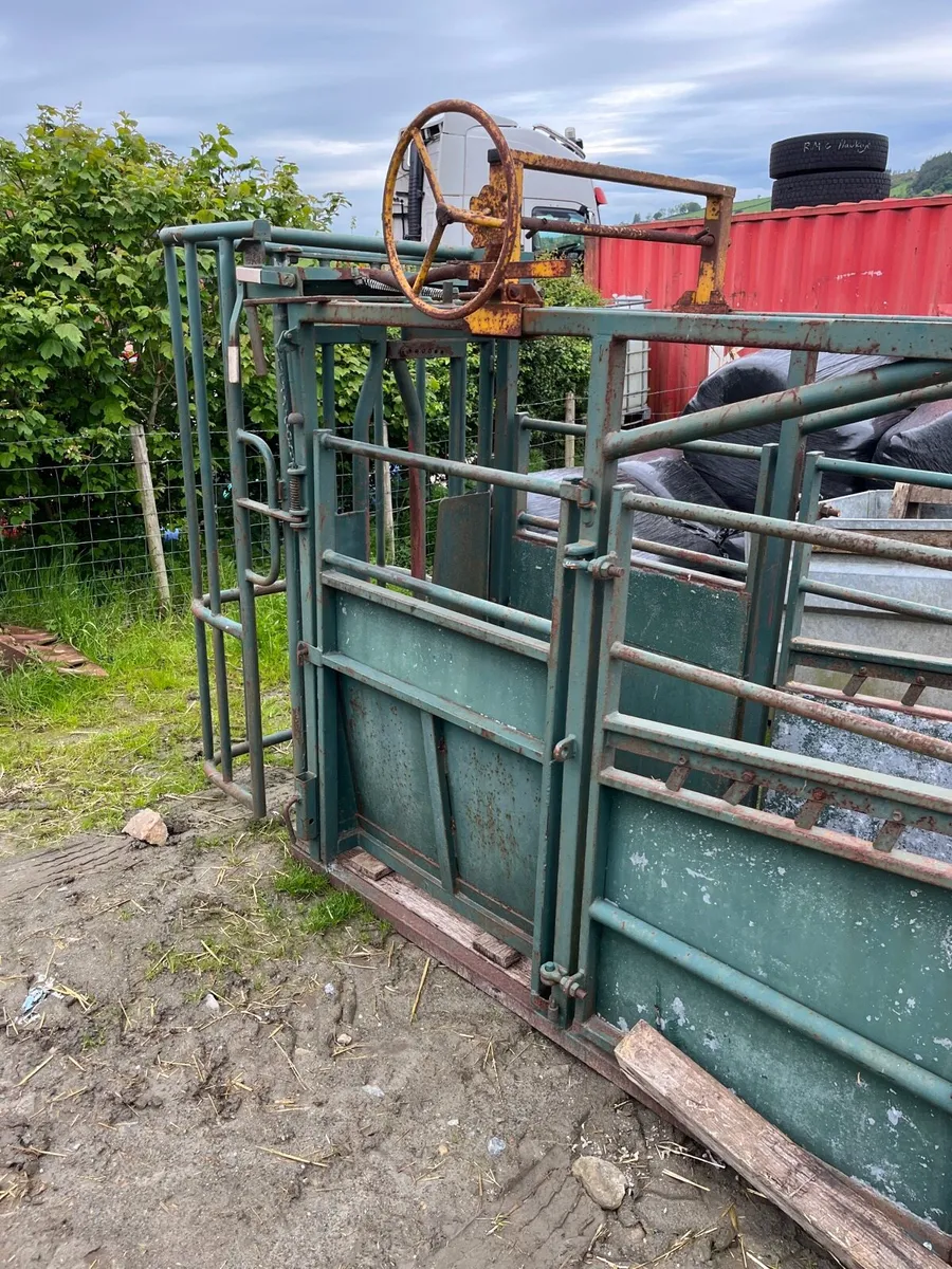 Cattle crush - Image 1