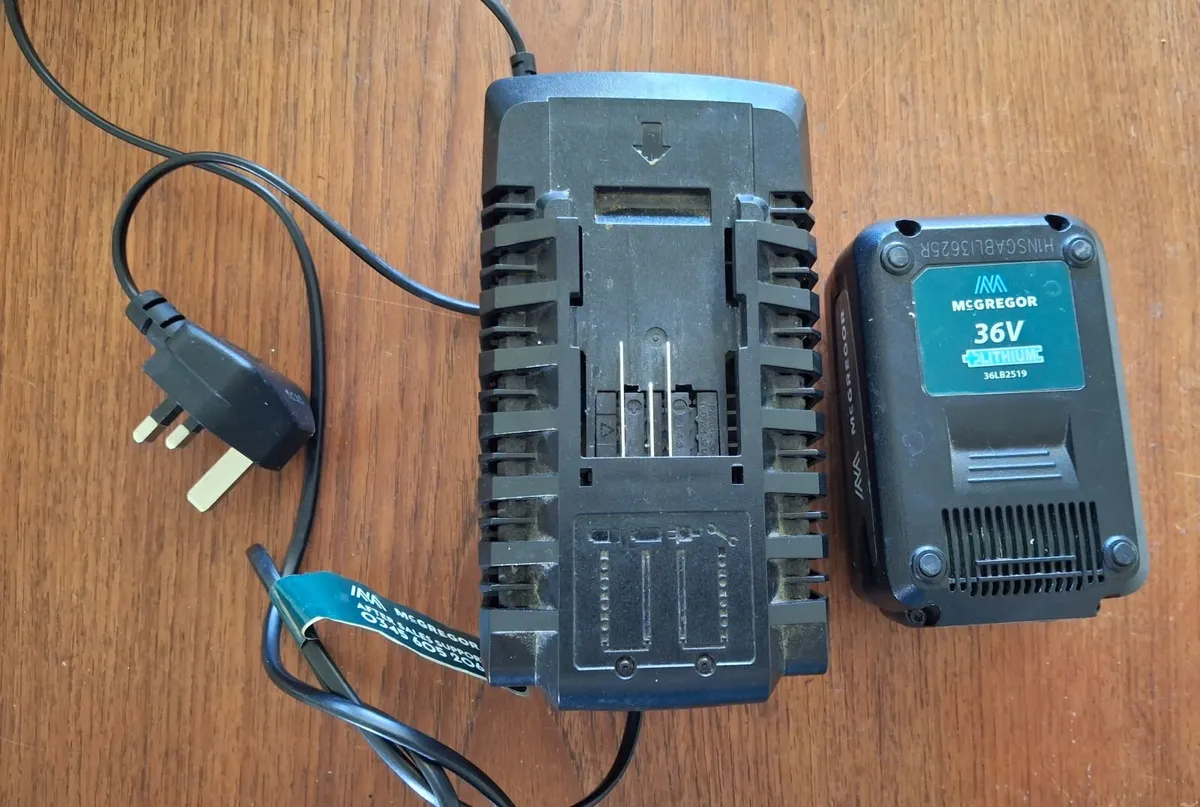 Lawnmower battery - Image 3