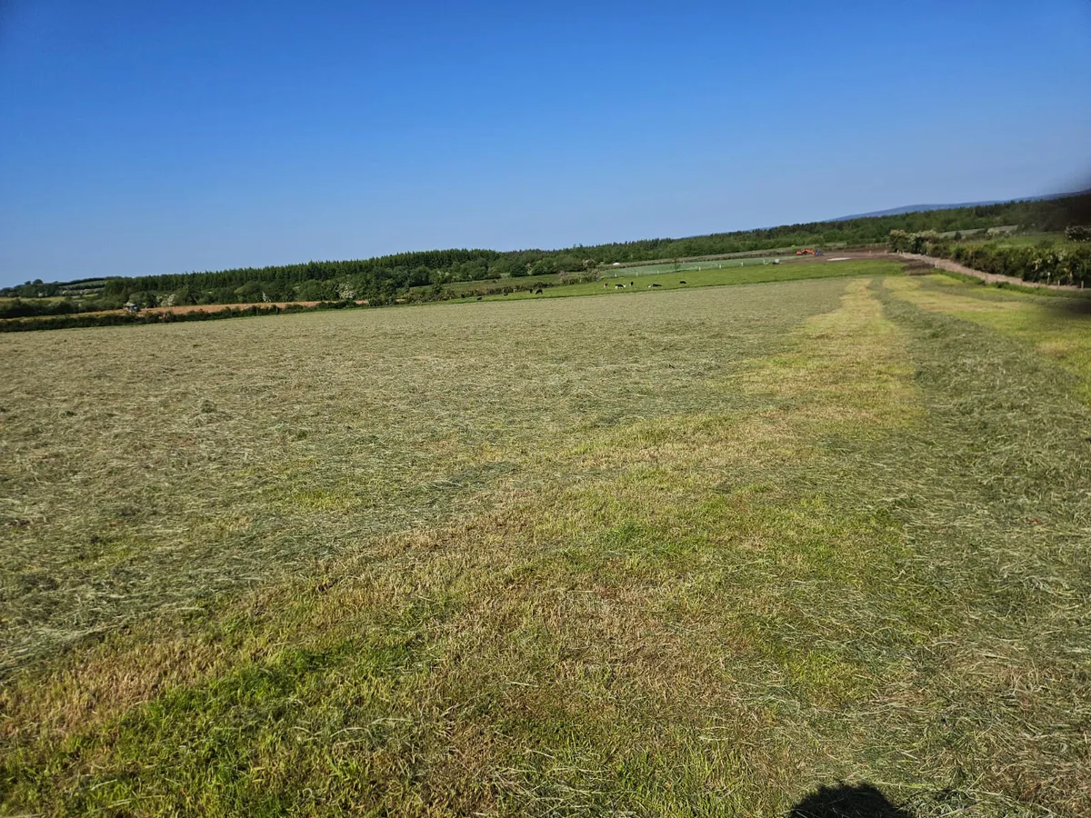 HAY FOR SALE €35 PER BALE - Image 2