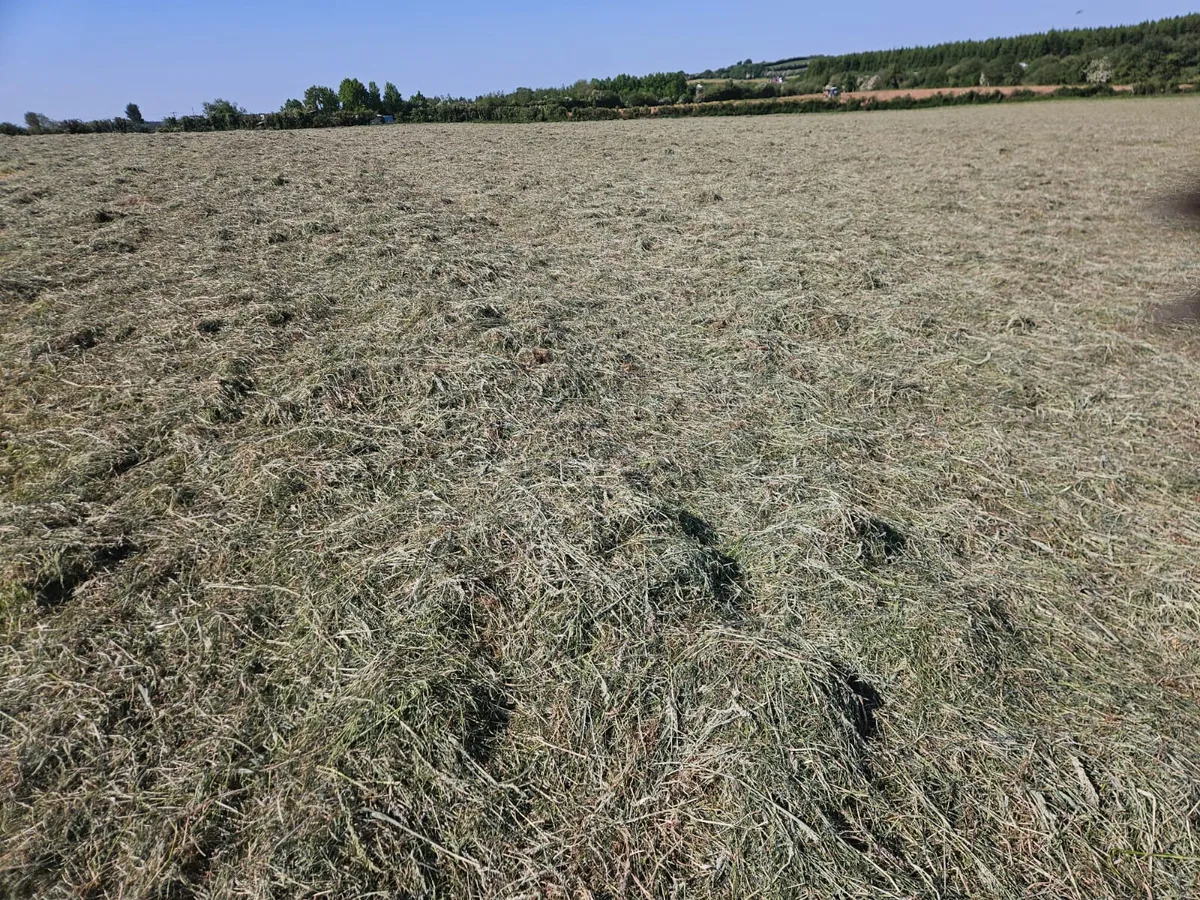 HAY FOR SALE €35 PER BALE - Image 1