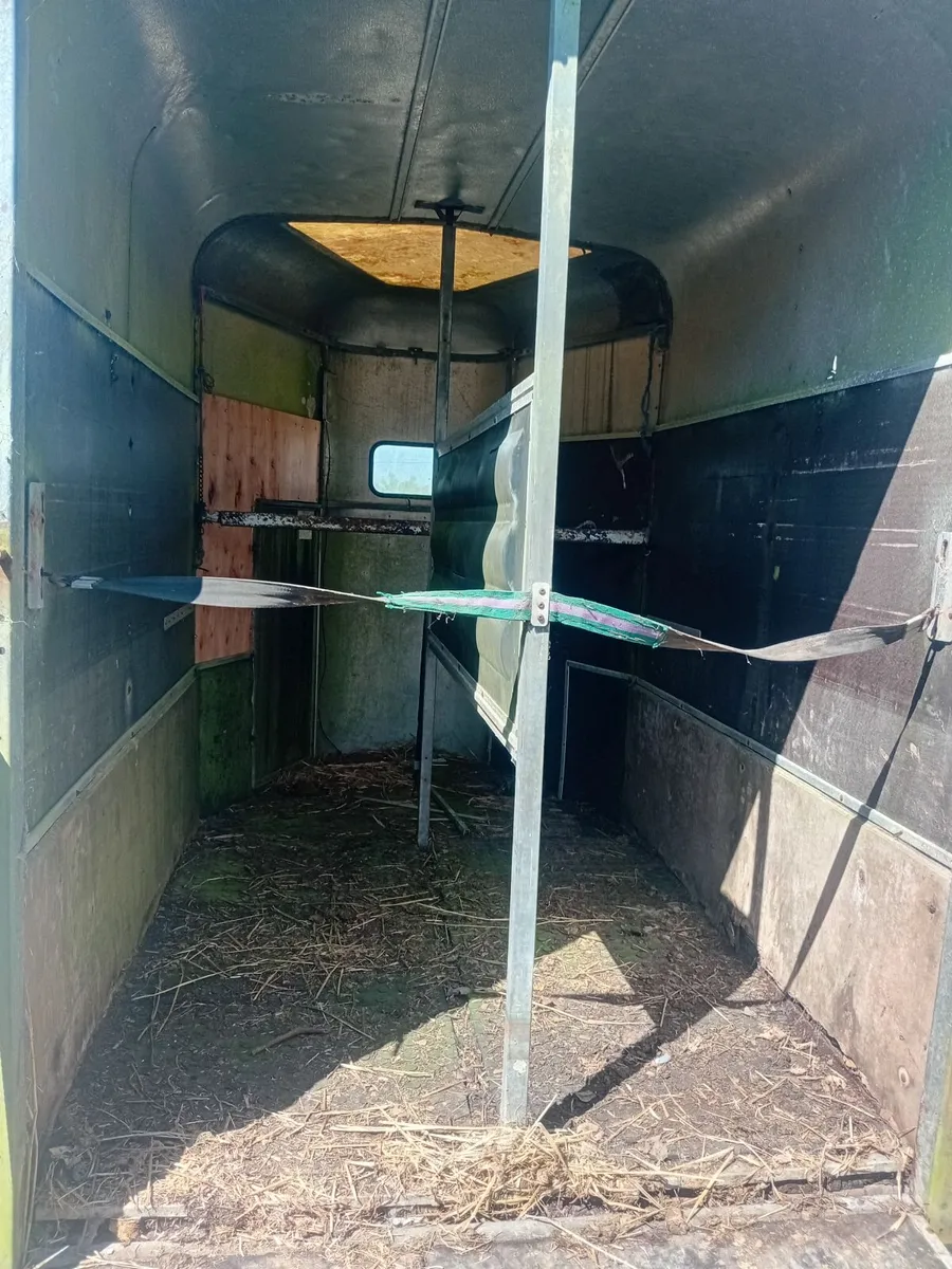 Ifor willams 505 Horse Box - Image 2