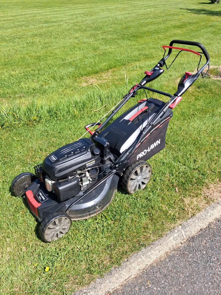 Lawnmower electric start - Image 1