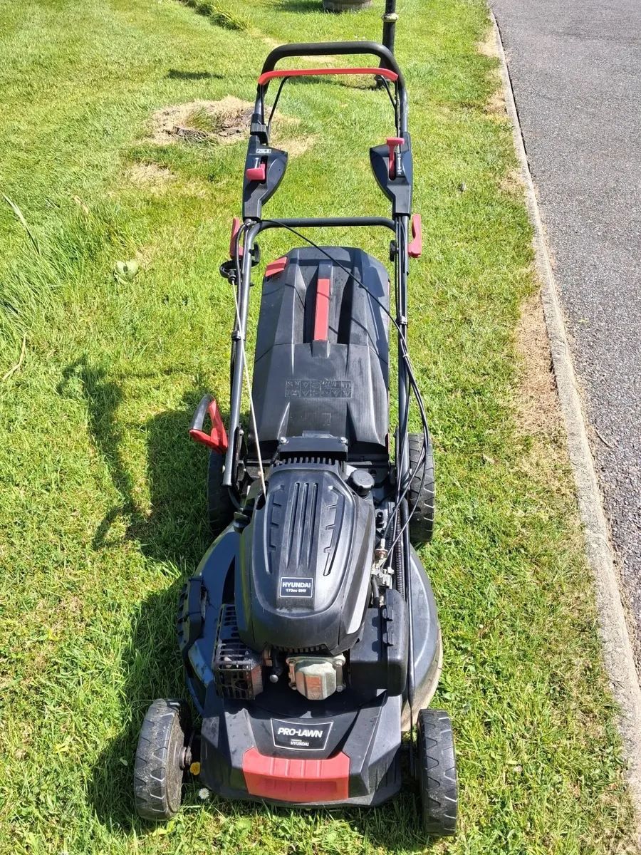 Lawnmower electric start - Image 2