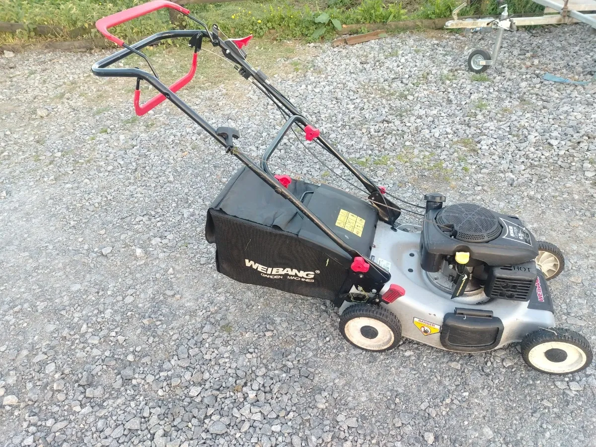Lawnmore - Image 3