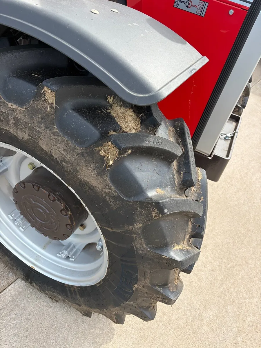 Massey 290 4wd 12 speed - Image 2