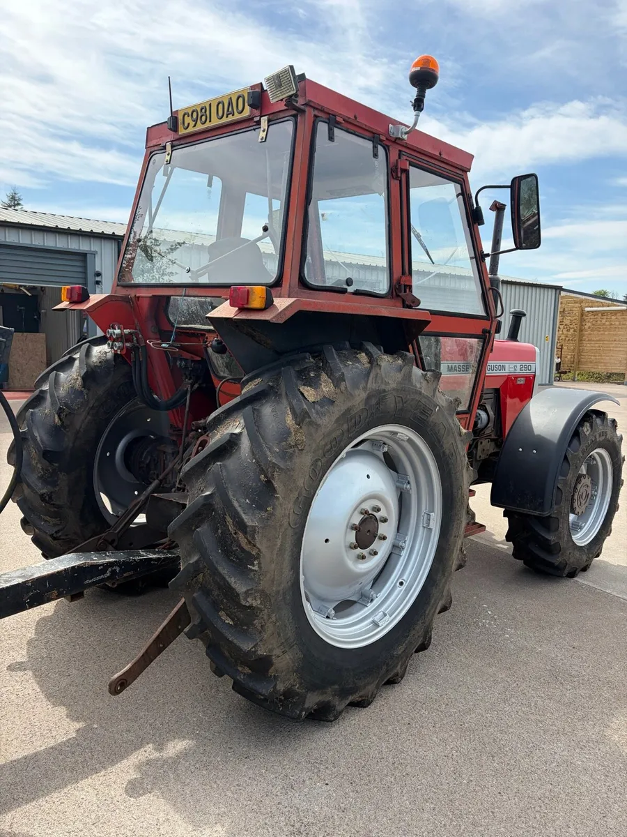Massey 290 4wd 12 speed - Image 4