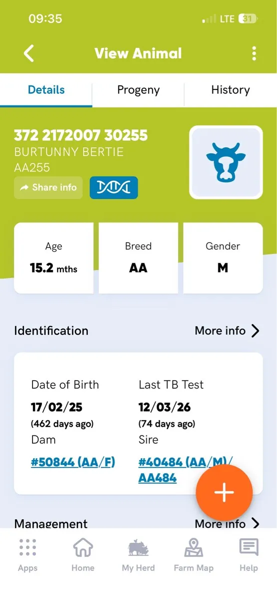 0.9% calving Diff Angus Bull - Image 4