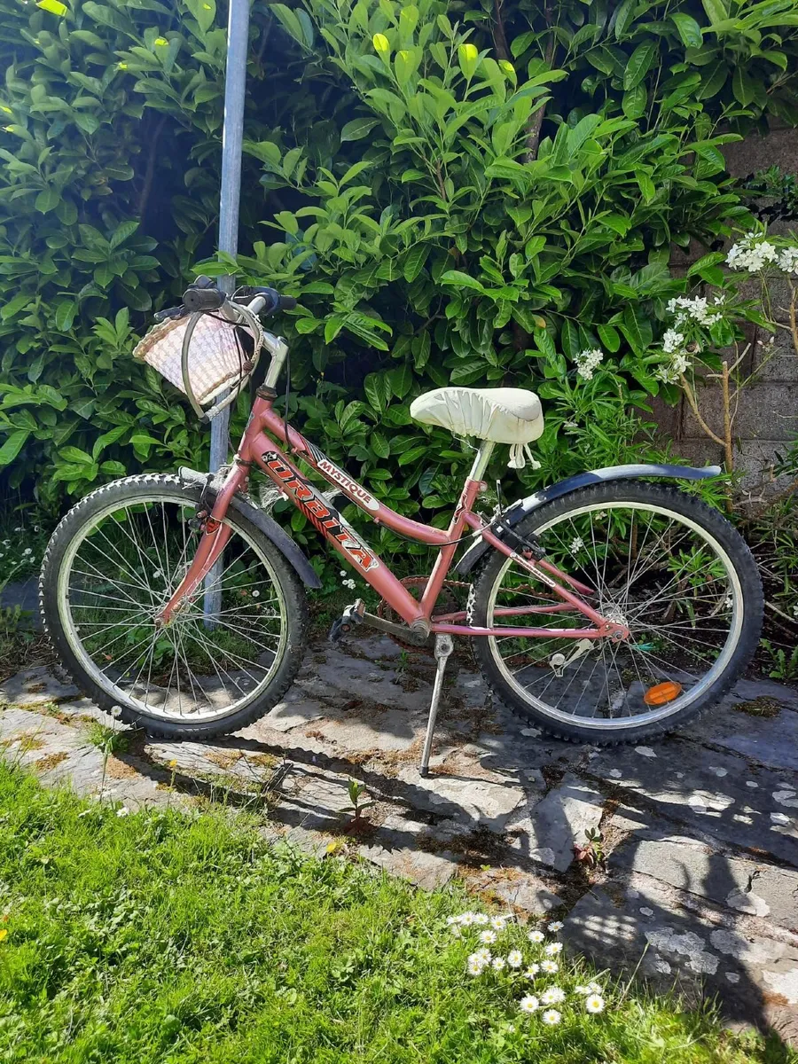 girls bicycles - Image 2