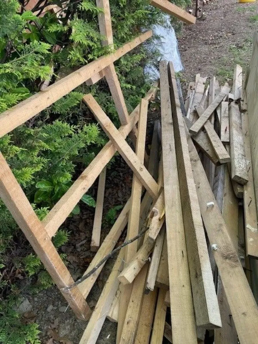 Wood - Suitable for firewood - FREE - Image 2