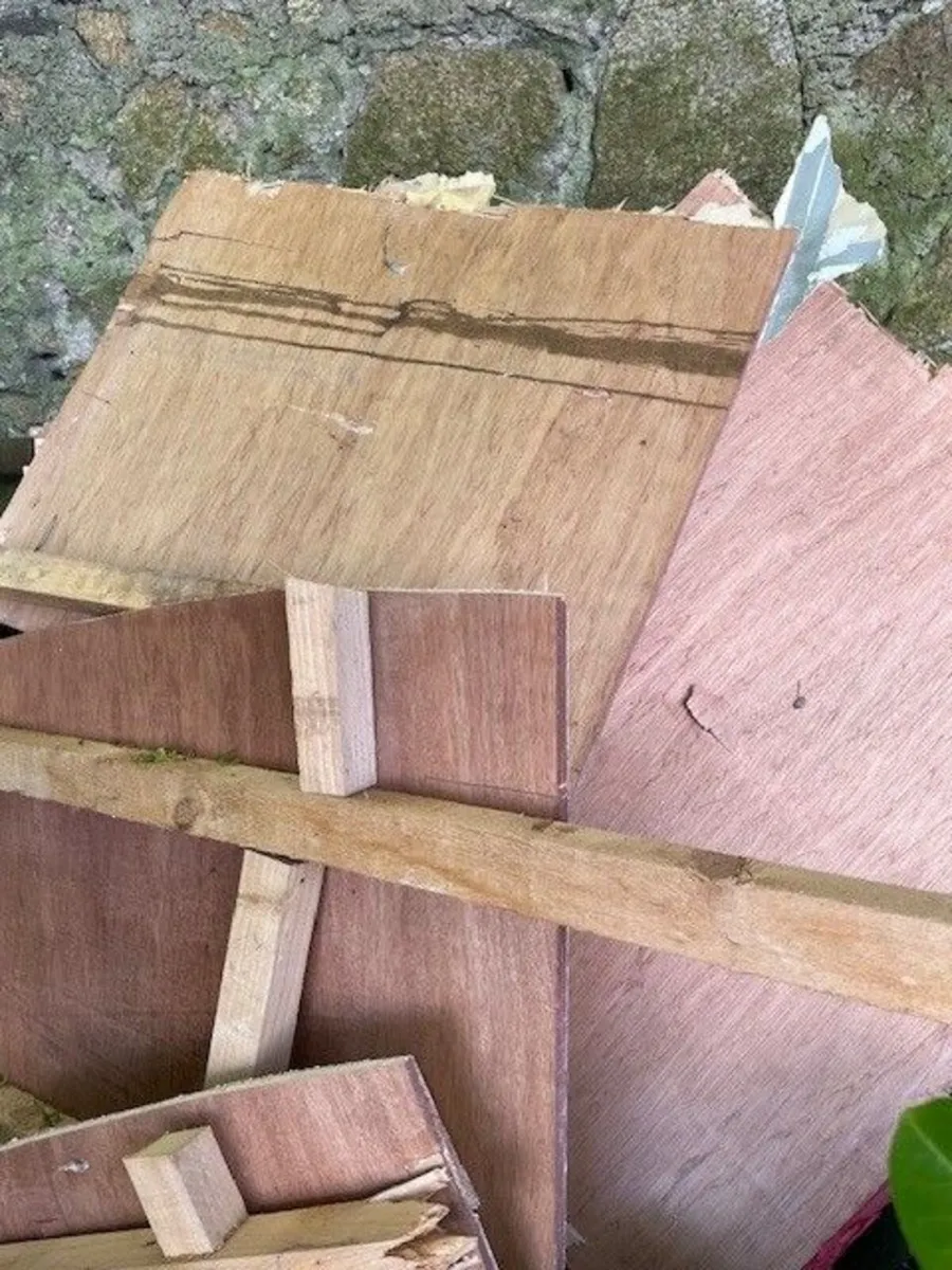 Wood - Suitable for firewood - FREE - Image 3
