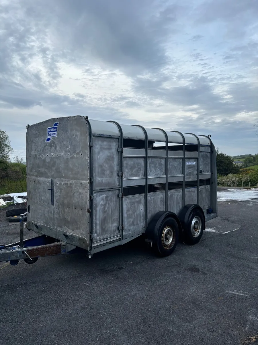 Ifor Williams Cattle Trailer - Image 3