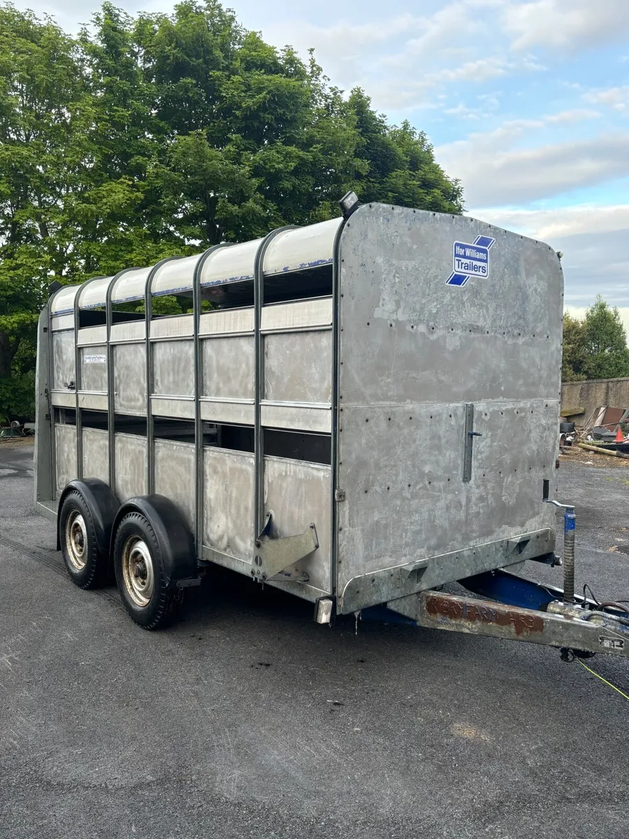Ifor Williams Cattle Trailer - Image 1