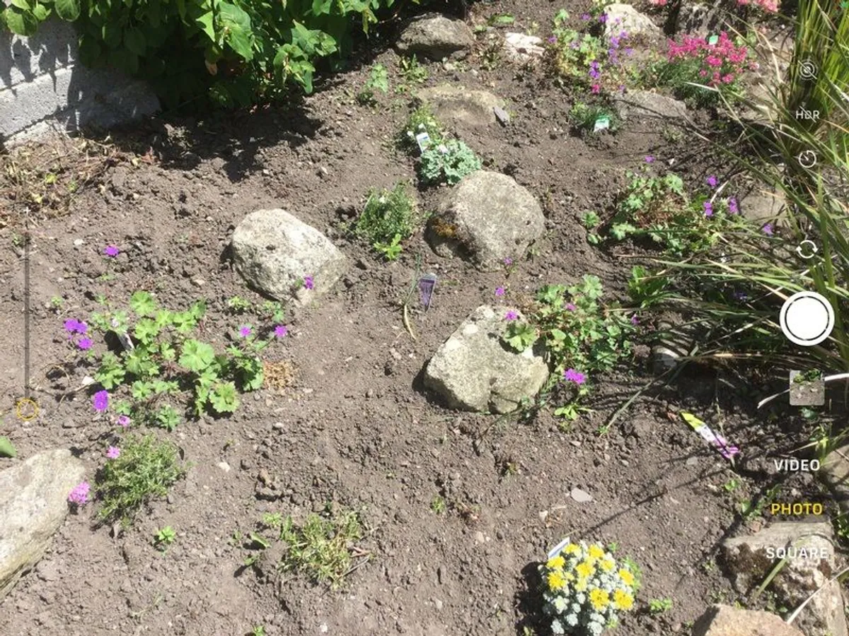Granite rockery stones - Image 3