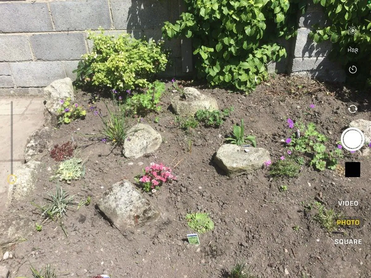 Granite rockery stones - Image 4