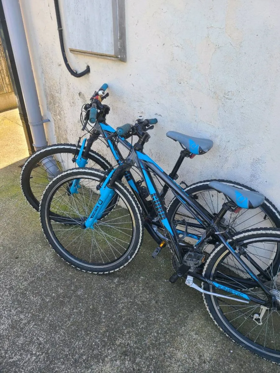 Bicycle - Image 1