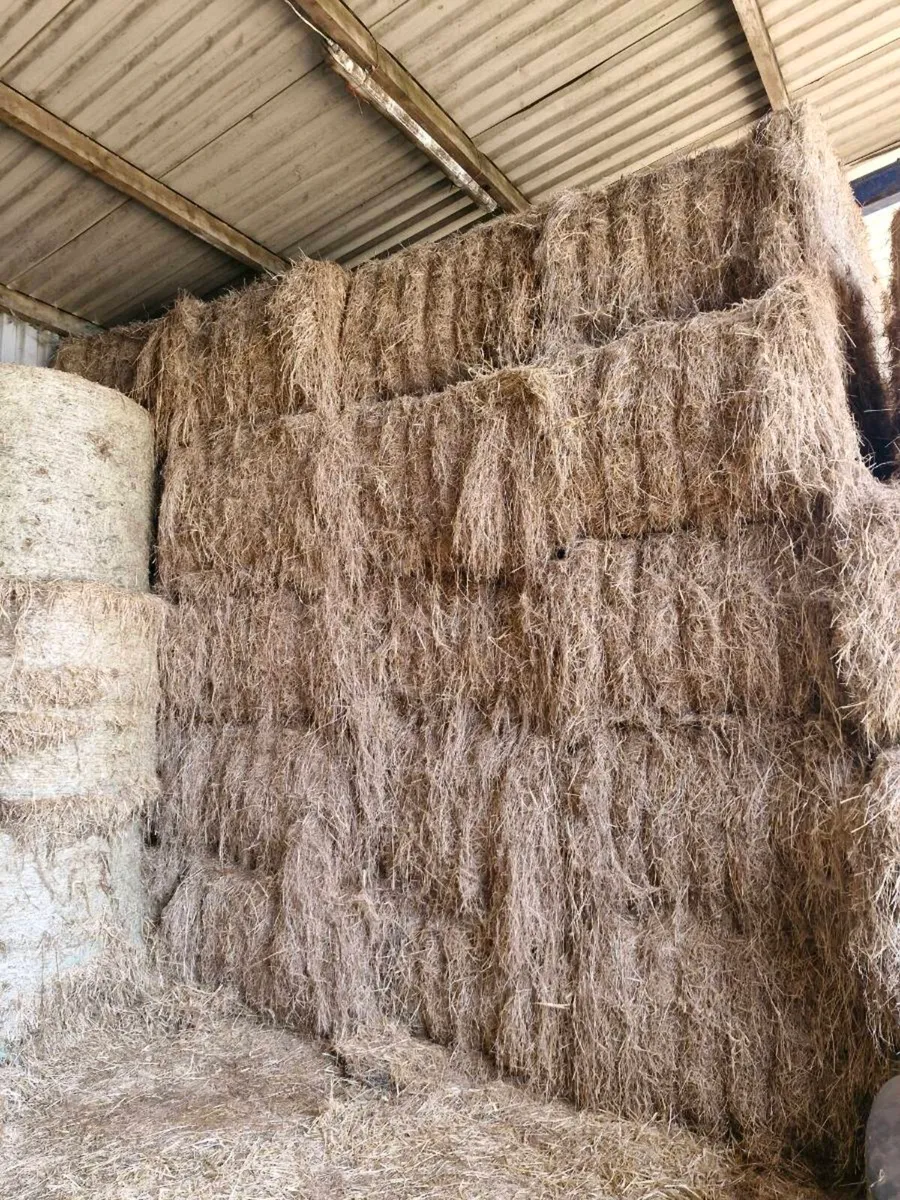 SWAP FOR STRAW - Image 1