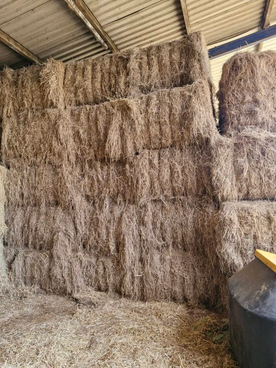 SWAP FOR STRAW - Image 3