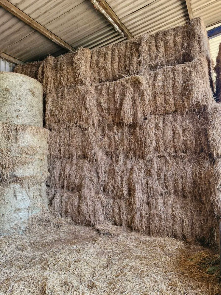 SWAP FOR STRAW - Image 4
