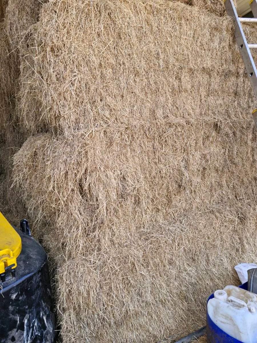 SWAP FOR STRAW - Image 2