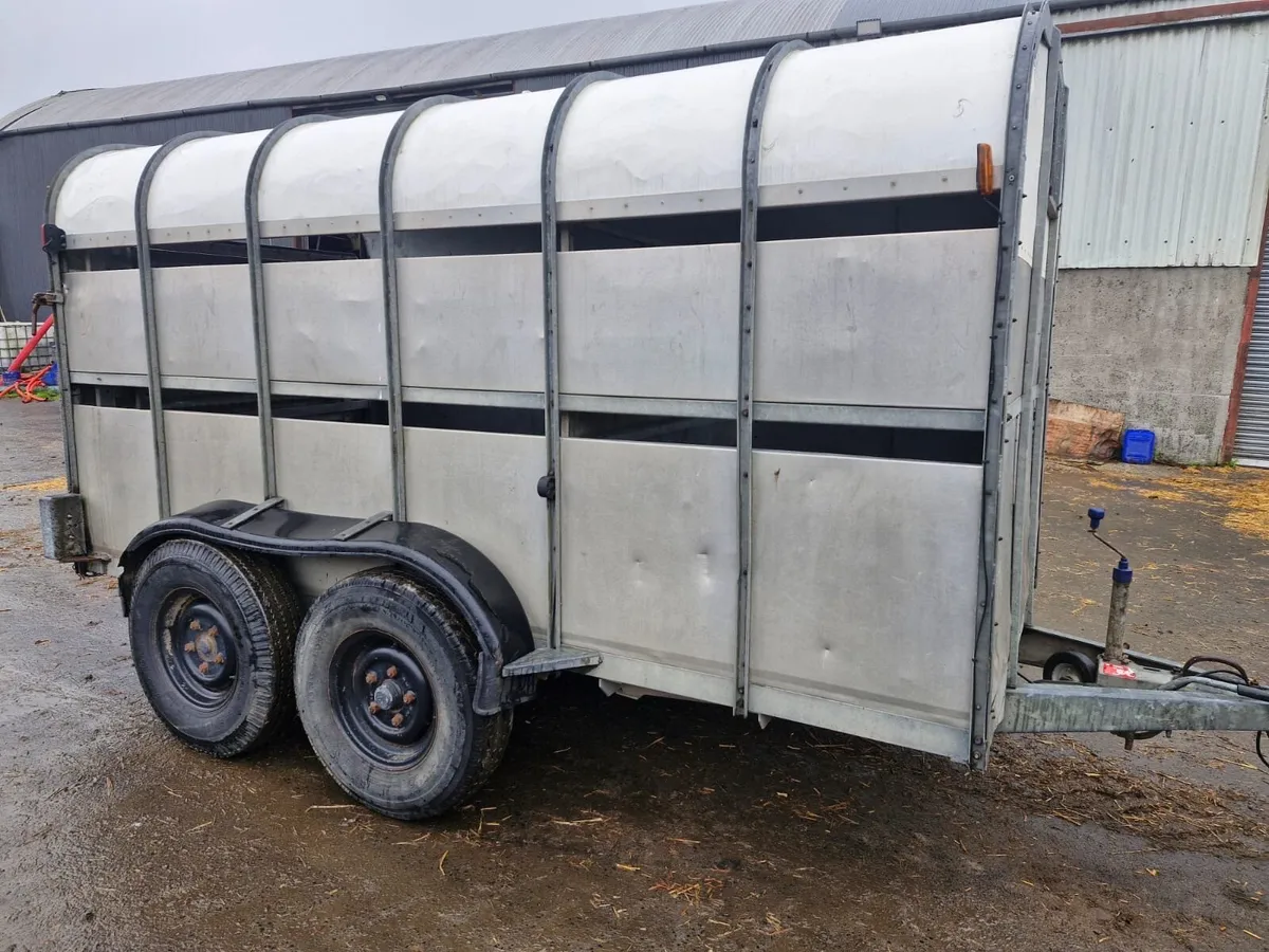Cattle trailer - Image 2