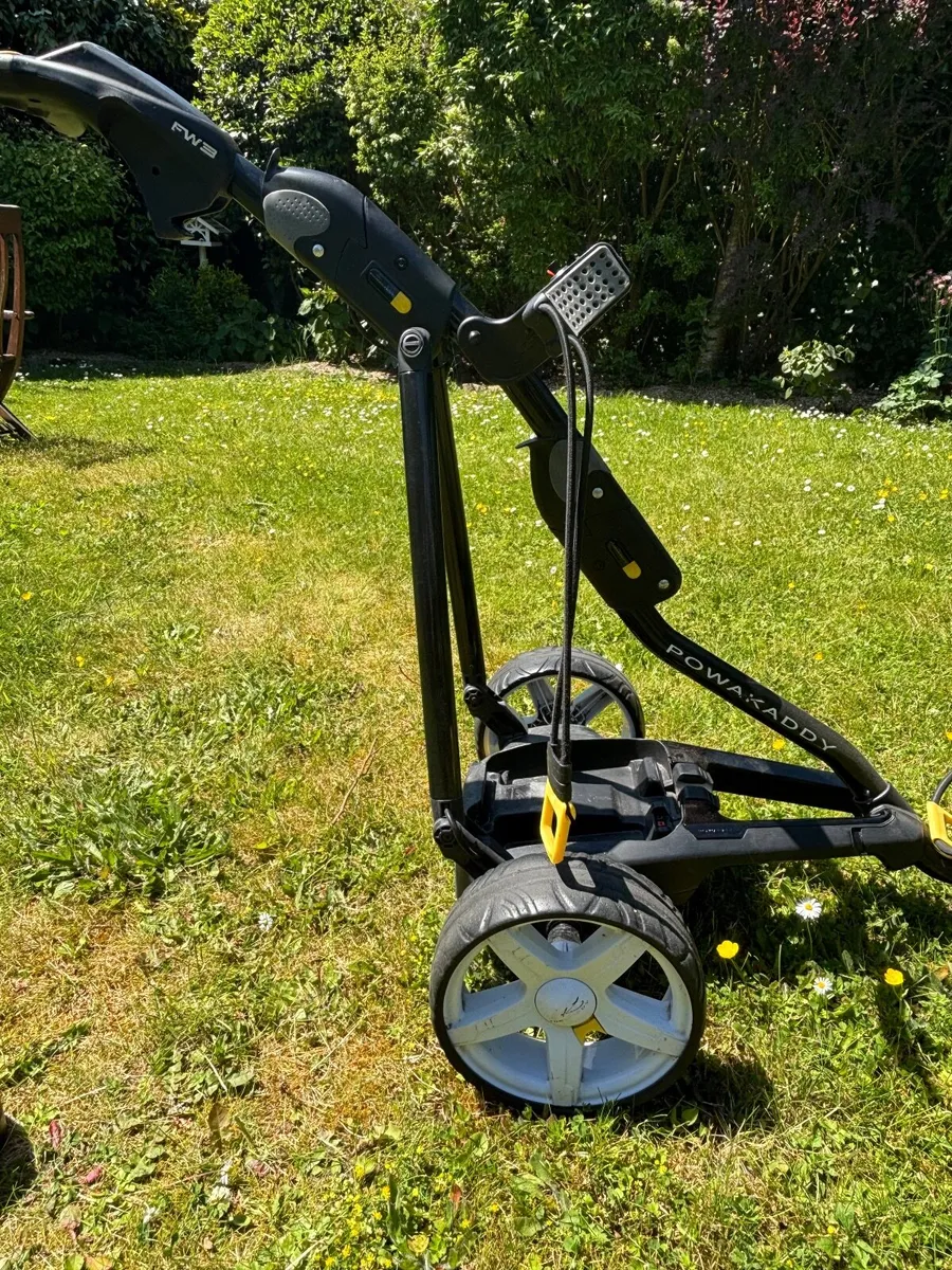 Electric Golf cart - Image 3