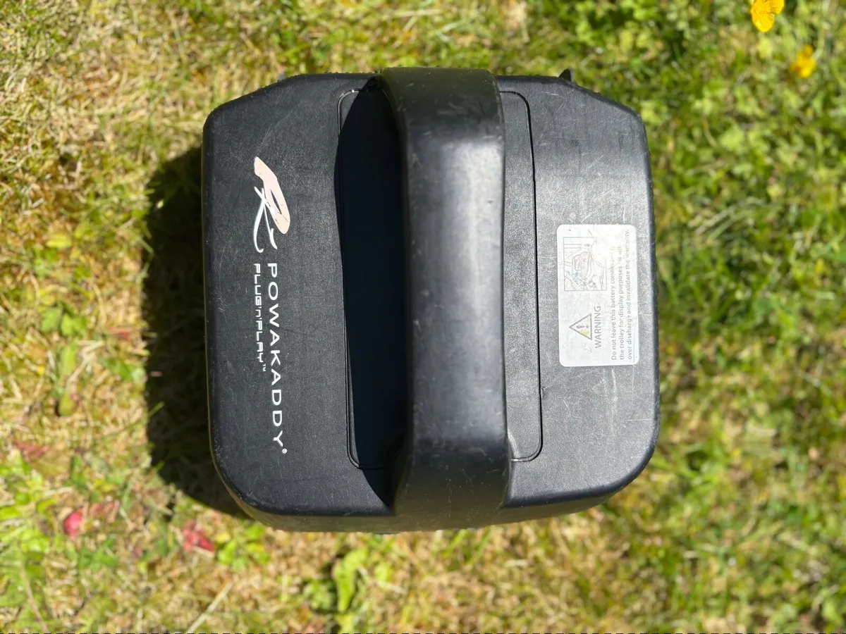 Electric Golf cart - Image 2