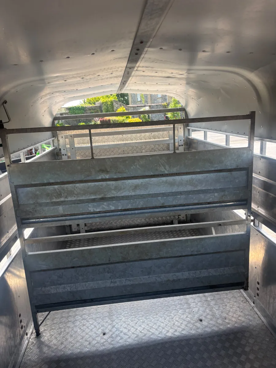 nugent 12ft x 6ft livestock trailer - Image 4