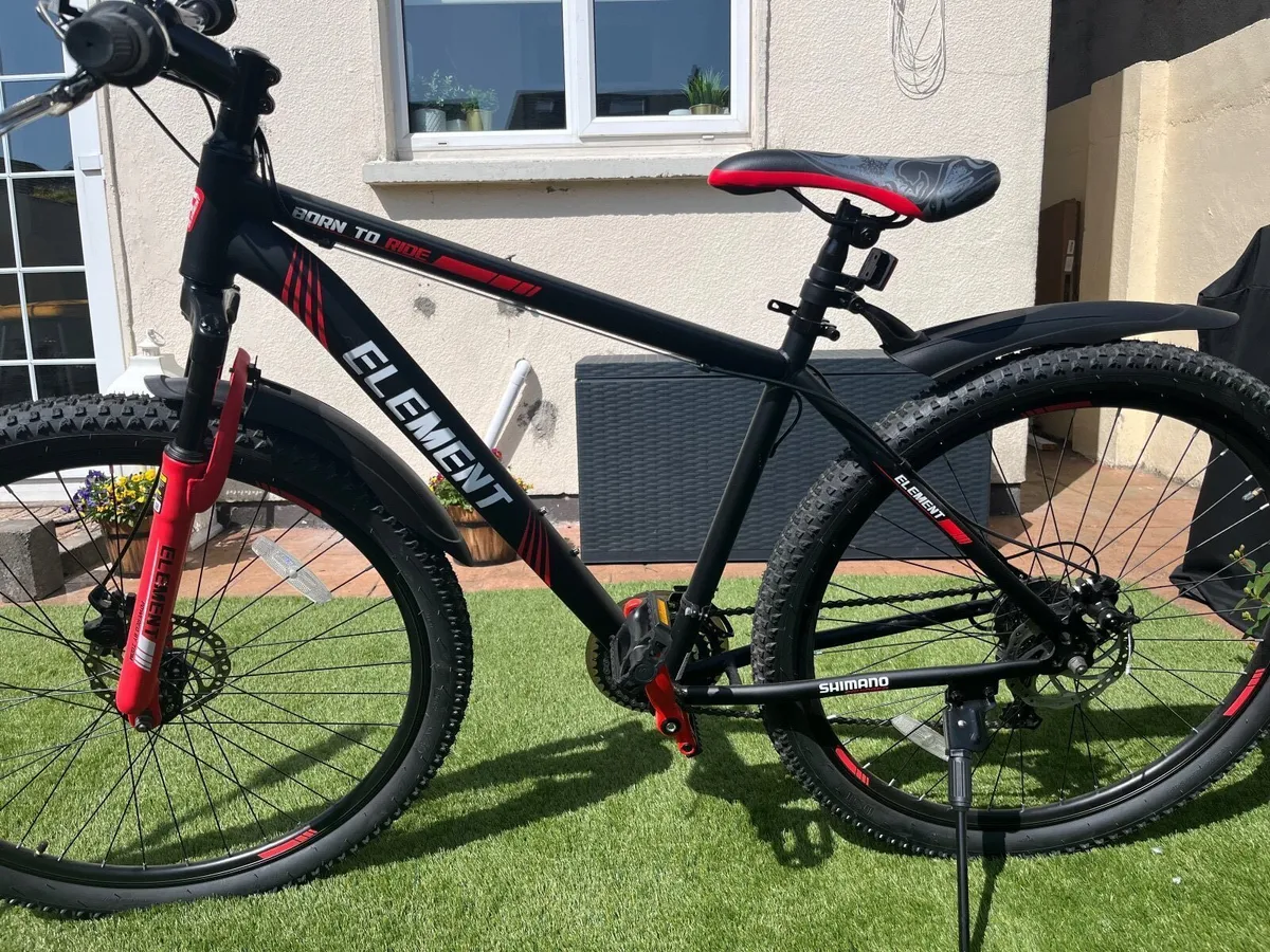 Mountain Bike - Image 1
