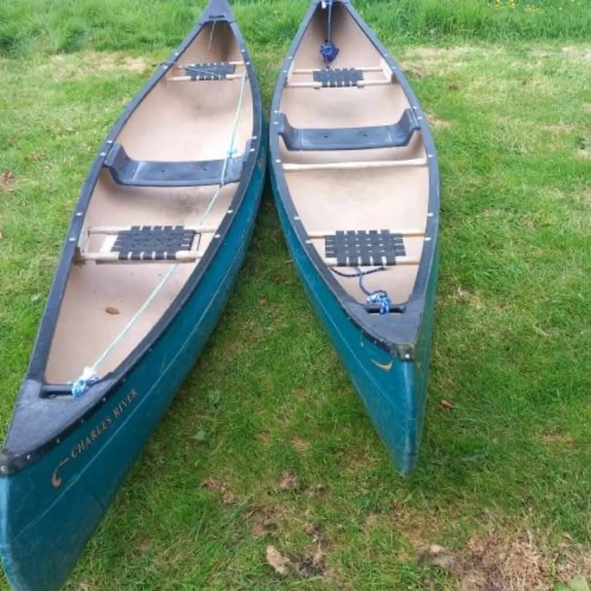 Canadian Canoes for sale