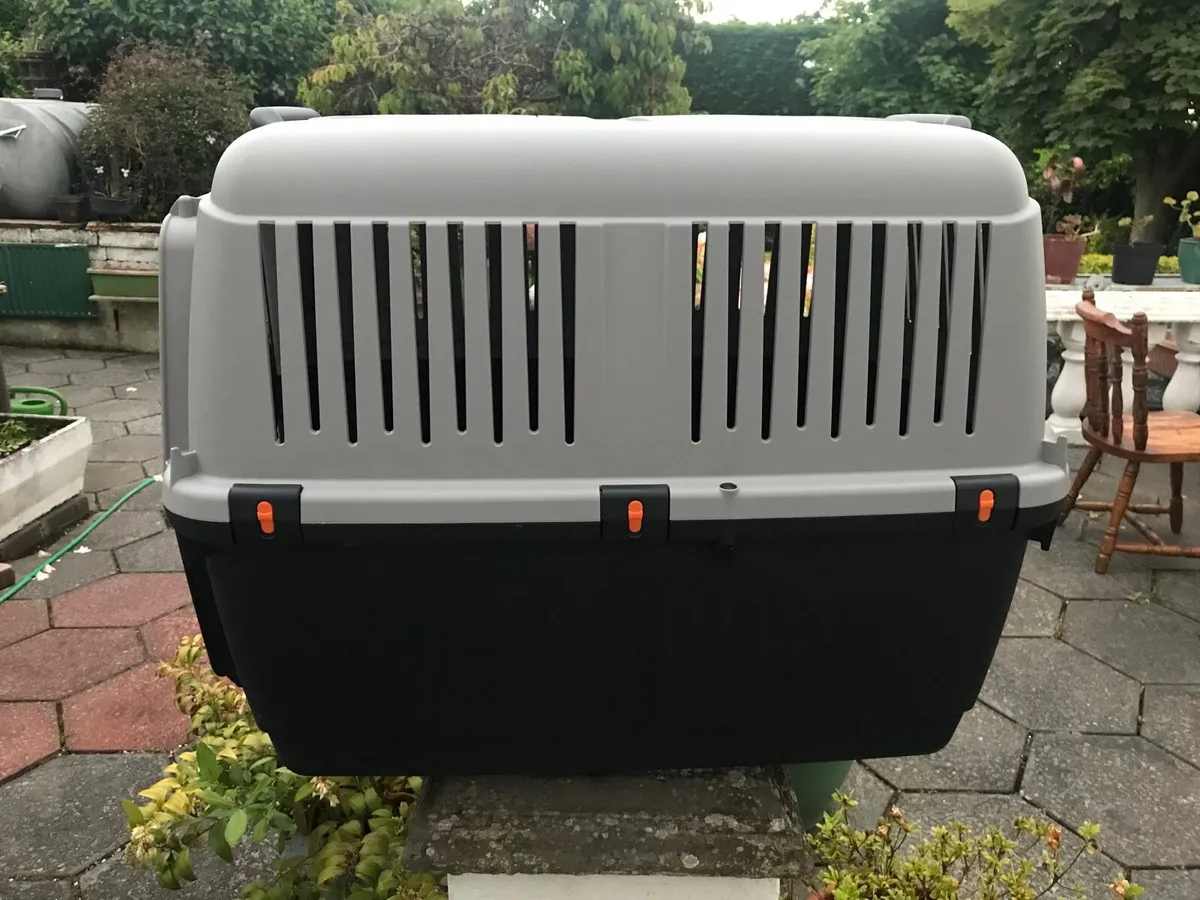 Dosmestic animals transport - Image 2