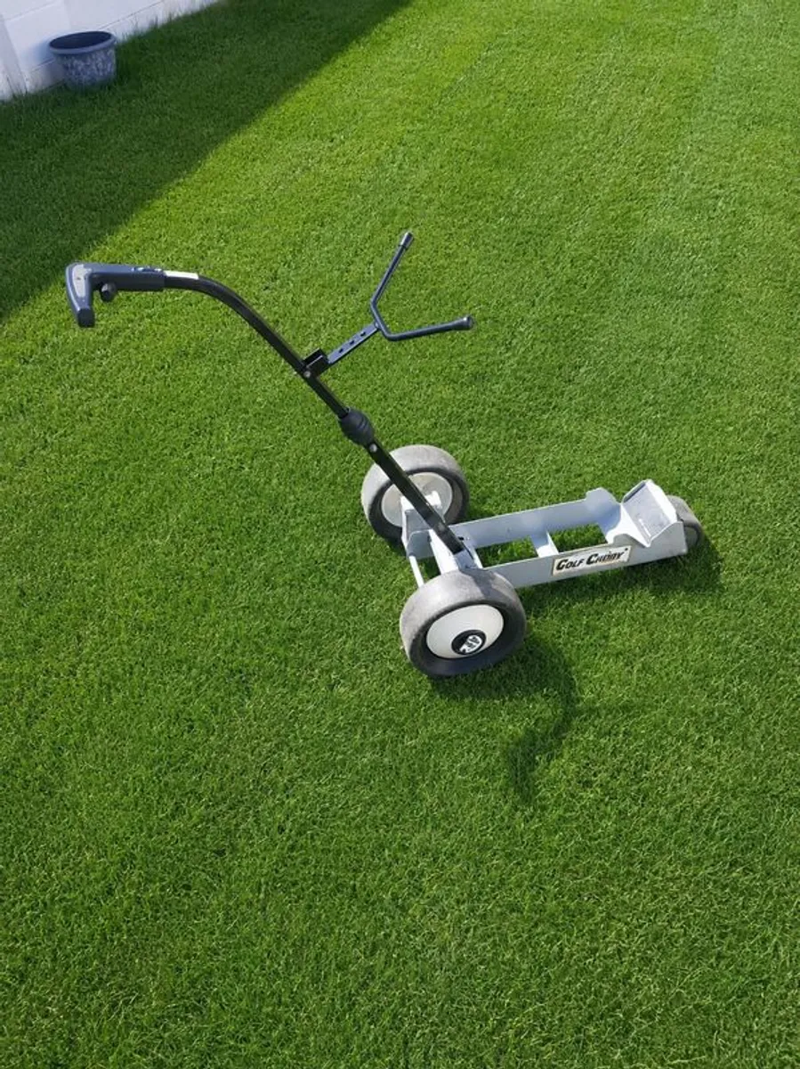 Golf glider - Image 1