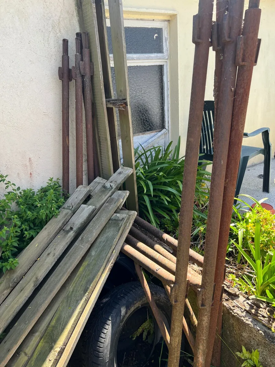 Scaffold Free