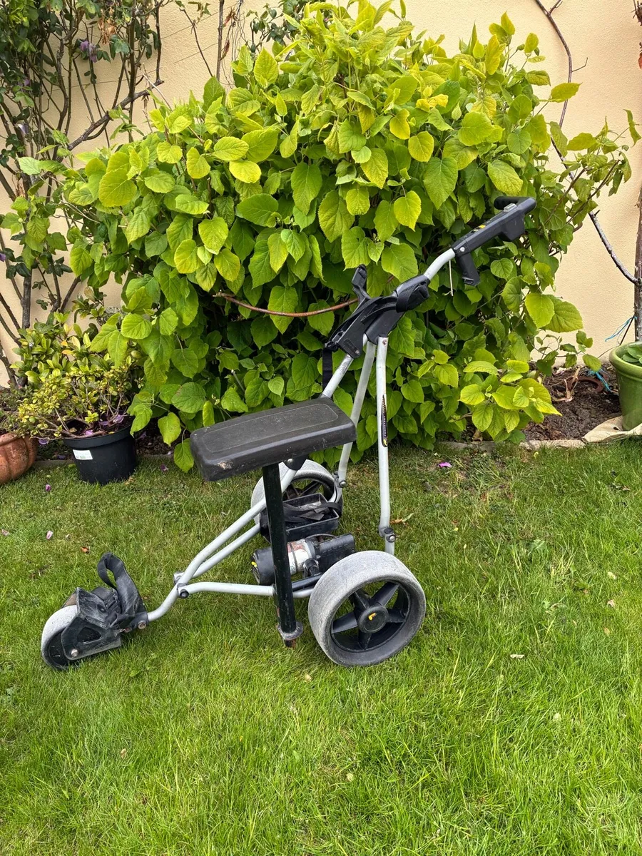 Electric Golf Caddy - Image 2