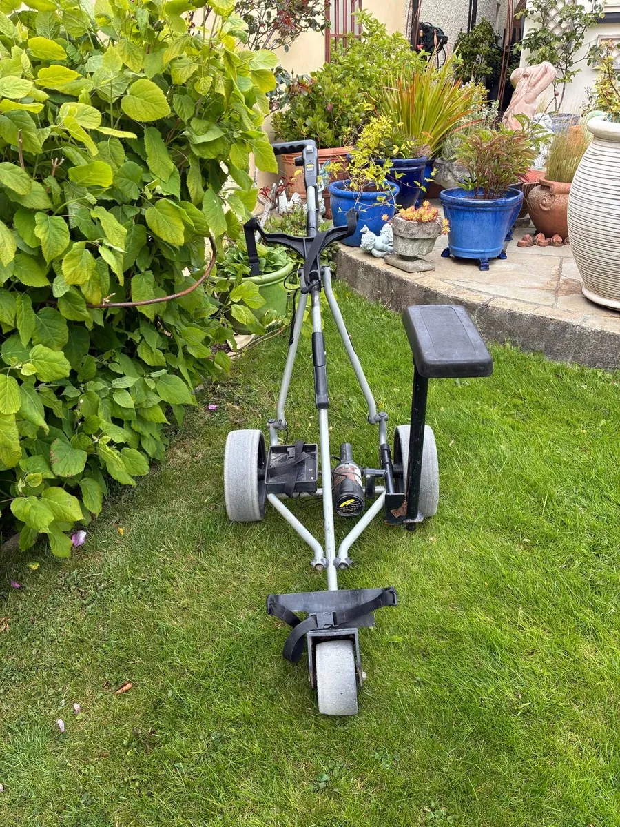 Electric Golf Caddy - Image 3
