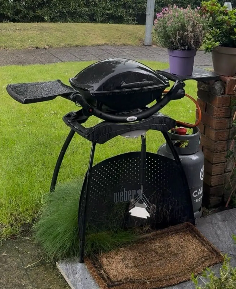 Weber Q2000 Gas BBQ - Image 1