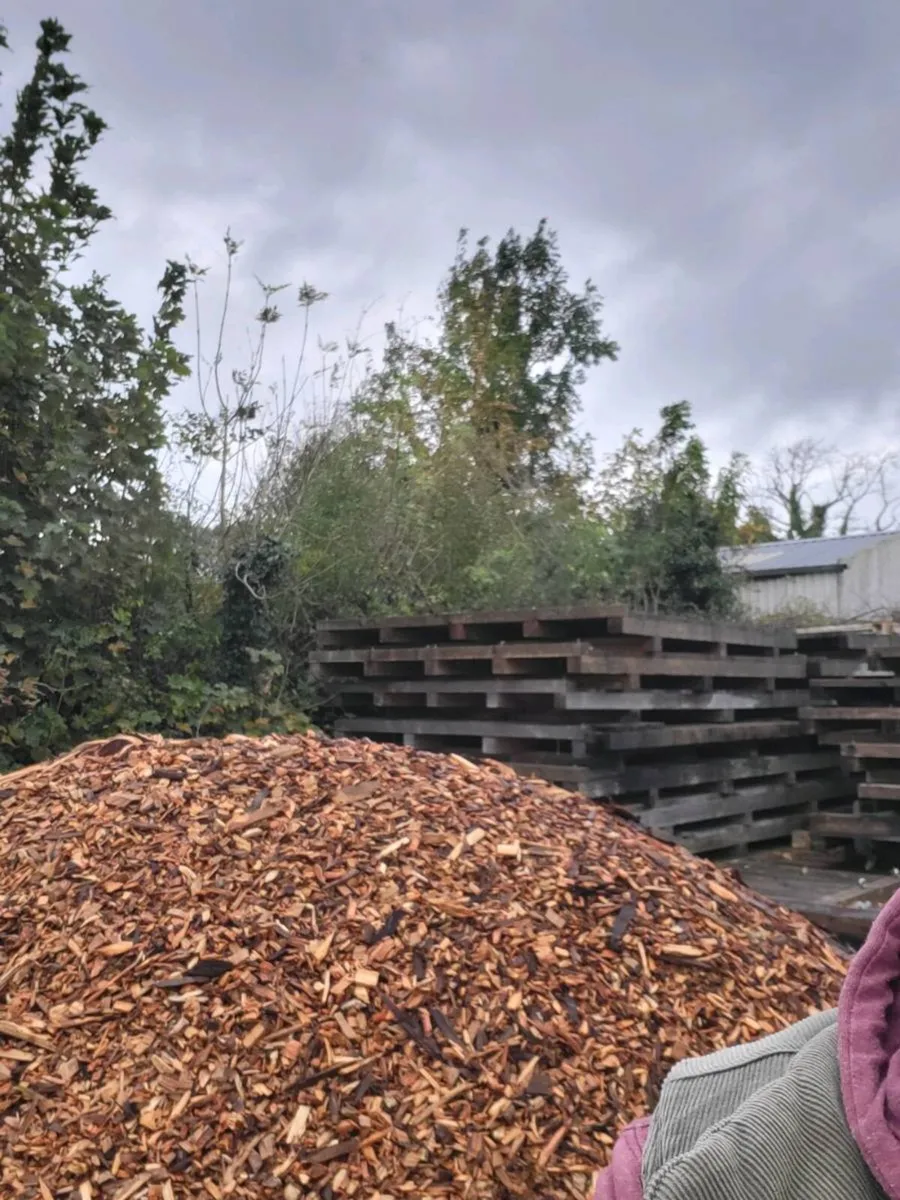 Wood chip - Image 1