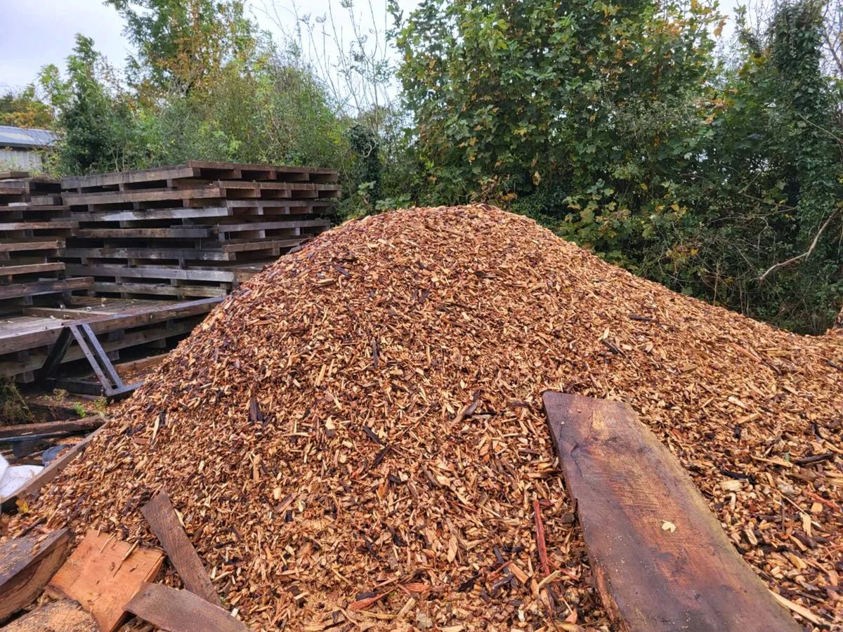 Wood chip - Image 2