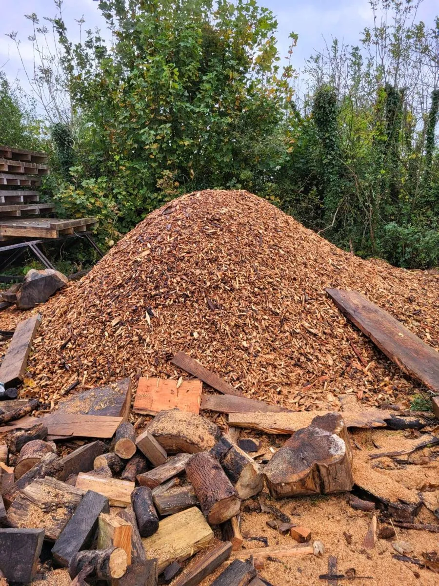 Wood chip - Image 3