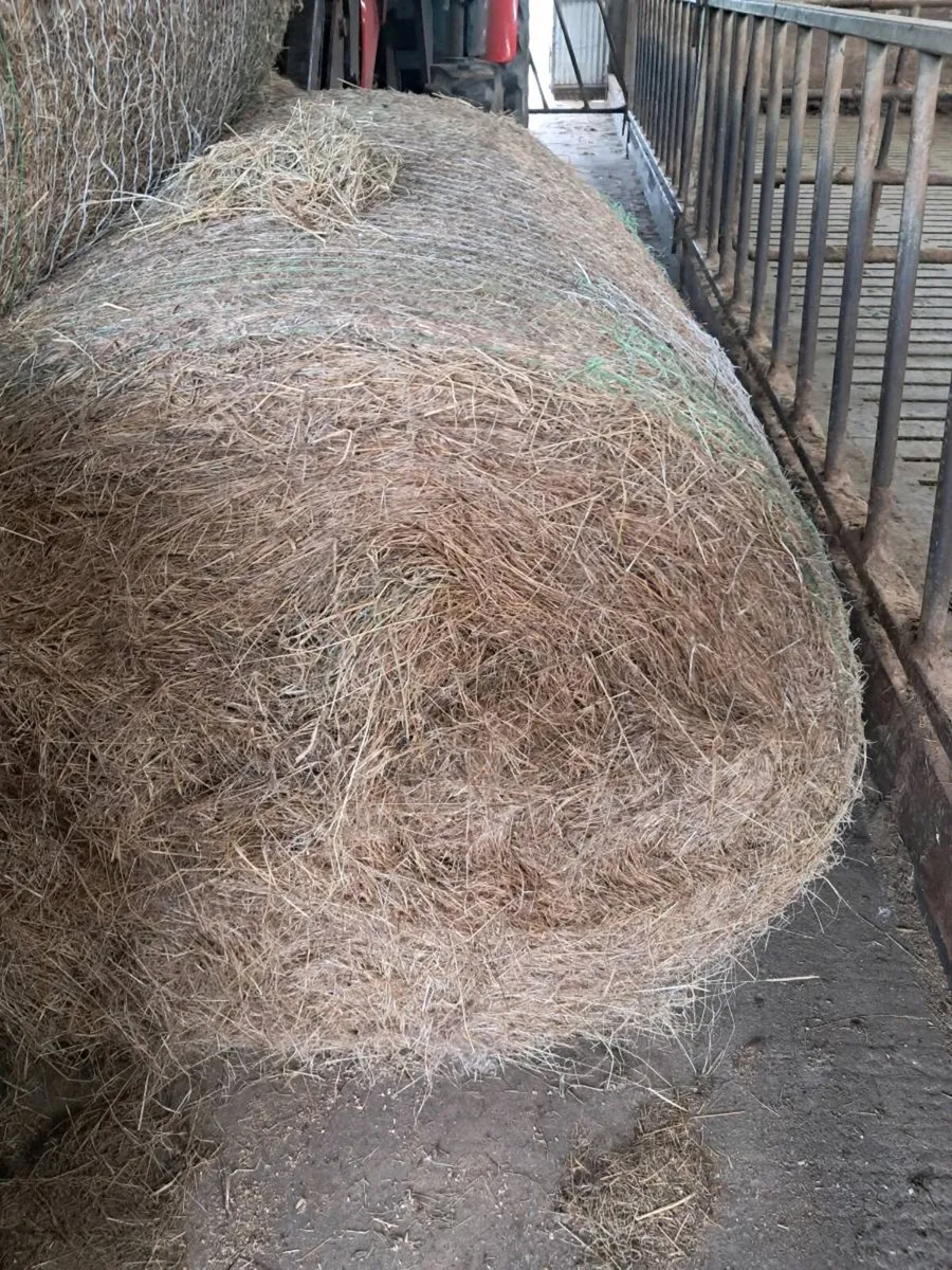 Top quality 20 round bales of hay - Image 1
