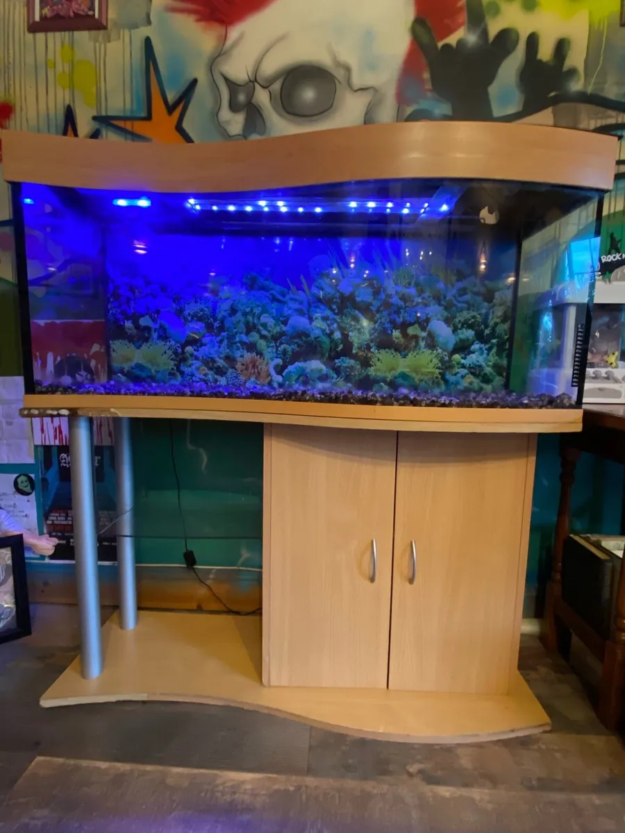 Fish tank