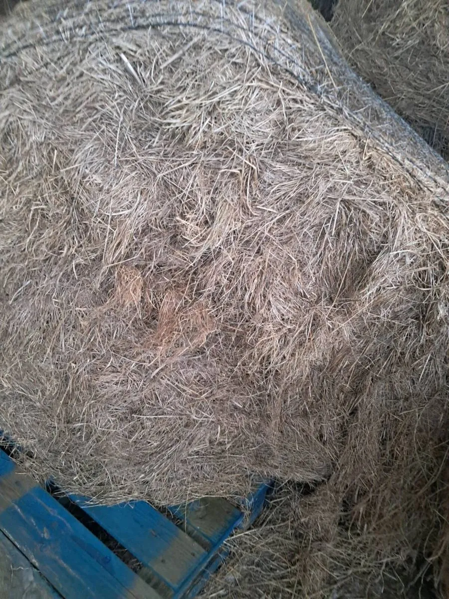 Top quality 20 round bales of hay - Image 4