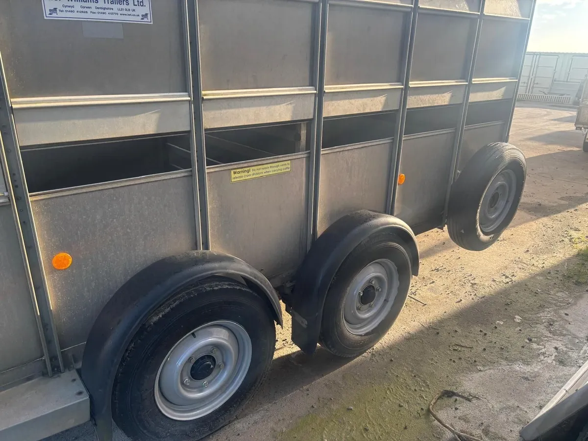 Ifor Williams 12x6 trailer with sheep decks - Image 2