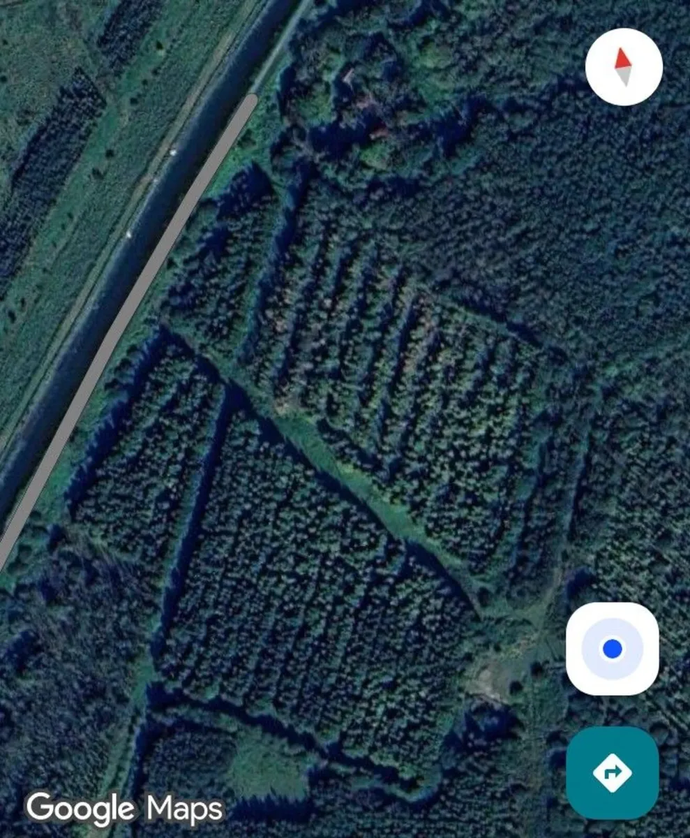 Campsite