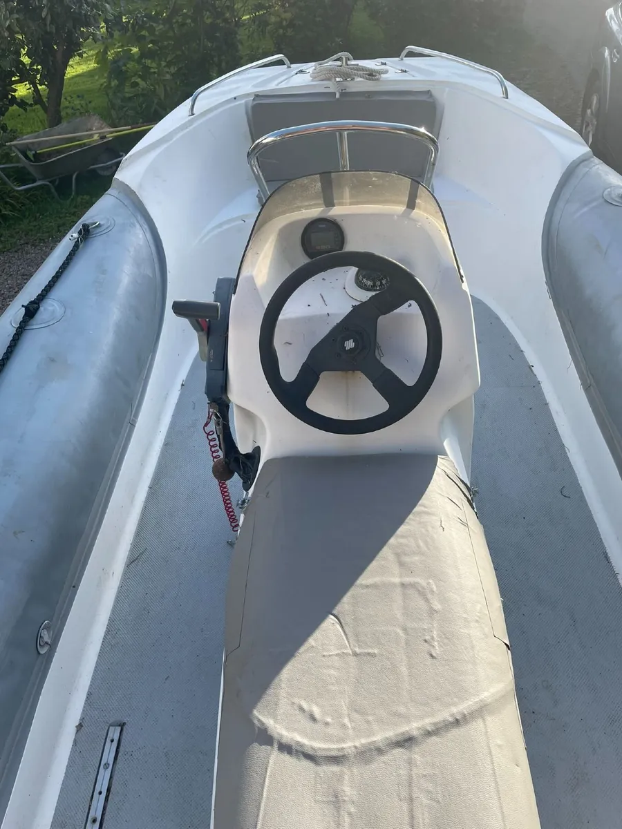 rib - Image 4