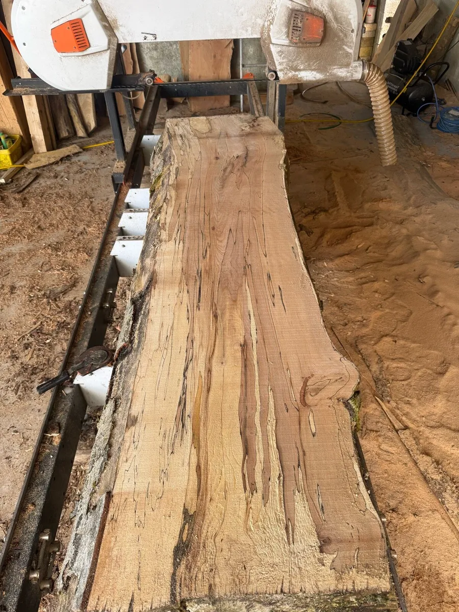 Timber - Image 2
