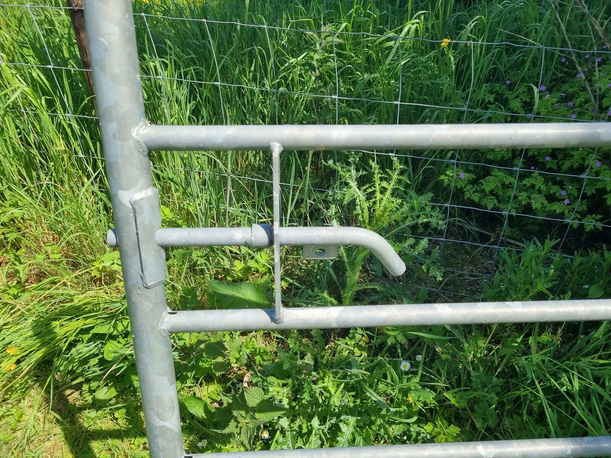 Galvanised farm gate 10ft new - Image 2